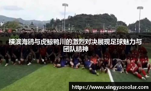 横滨海鸥与虎鲸鸭川的激烈对决展现足球魅力与团队精神